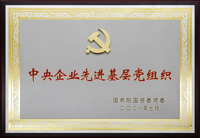 國珍松花粉-新時代健康產業(yè)（集團）有限公司成立于1995年3月，是中國新時代控股（集團）公司的控股子公司，總部設在北京，注冊資本1億元人民幣。公司是直銷行業(yè)內首批獲得直銷牌照的內資企業(yè)之一，也是行業(yè)內唯一一家央屬企業(yè)。